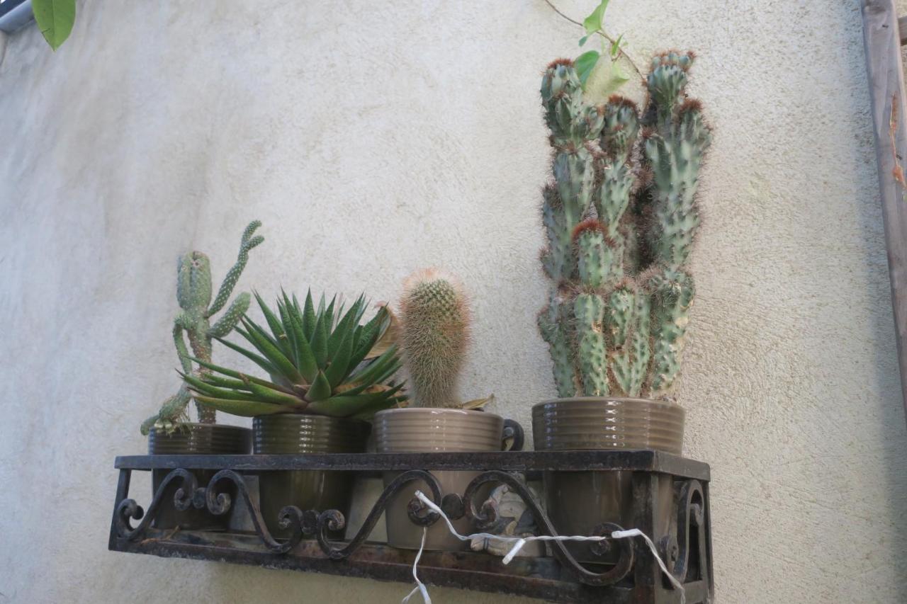 Tombe La Nefle Bed & Breakfast Avignon Exterior photo